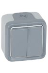 LEGRAND 069715 Plexo 55 wall-mounted double toggle switch, complete, gray