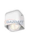 PHILIPS AFZELIA 532003116 LED spotlámpa 1x4.5W SELV 170Lm, fehér