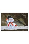 EMOS DCFC18 LED karácsonyi hóember kalappal, 36 cm, kültéri és beltéri, hideg fehér, időzítő, 2,1 W, 230 V AC, IP44