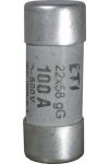 ETI 006711010 CH22/P gG 10A/690V, kiütőszeges hengeres biztosító, Ø22mm x 58mm