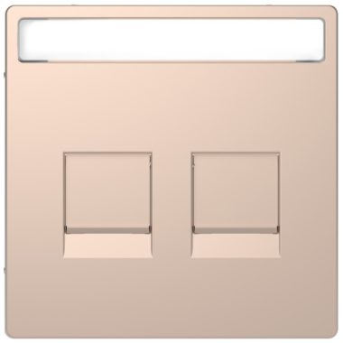 SCHNEIDER MTN4564-6051 MERTEN Cover plate for 2xRJ45 modular inserts, D-Life, champagne