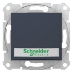   SCHNEIDER SDN1600370 SEDNA Single-pole presser with blue indicator light, label holder, spring-cage connection, 10A, graphite