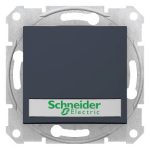   SCHNEIDER SDN1700470 SEDNA Single-pole presser with blue indicator light, label holder, spring-cage connection, 10A, graphite