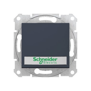 SCHNEIDER SDN1700470 SEDNA Single-pole presser with blue indicator light, label holder, spring-cage connection, 10A, graphite