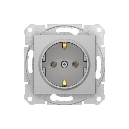   SCHNEIDER SDN3000560 SEDNA 2P + F socket, screw connection, 16A, aluminum